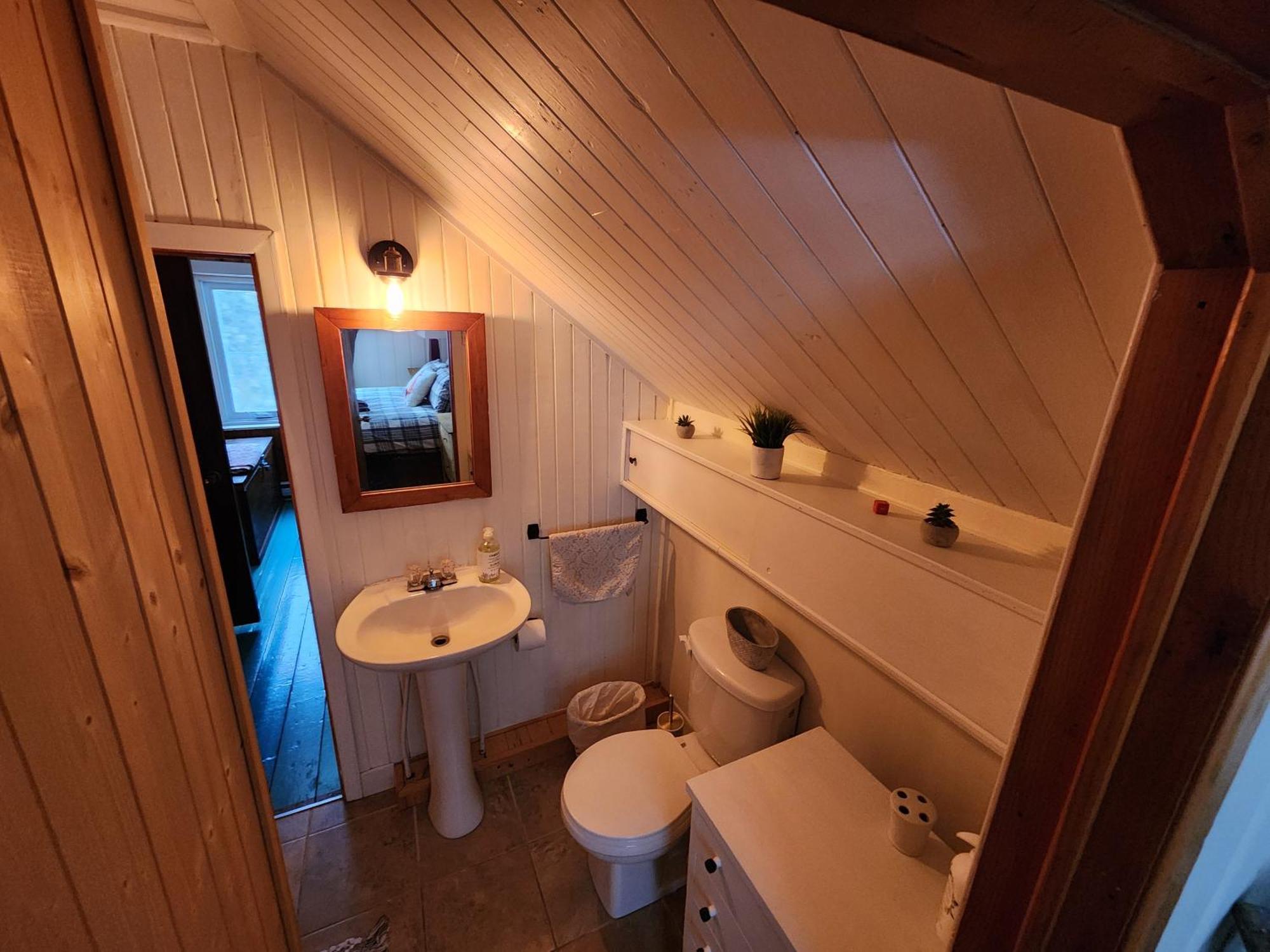 Chalets Nabu La Sacacomie - Riviere - Billard Saint-Alexis-des-Monts Exterior photo