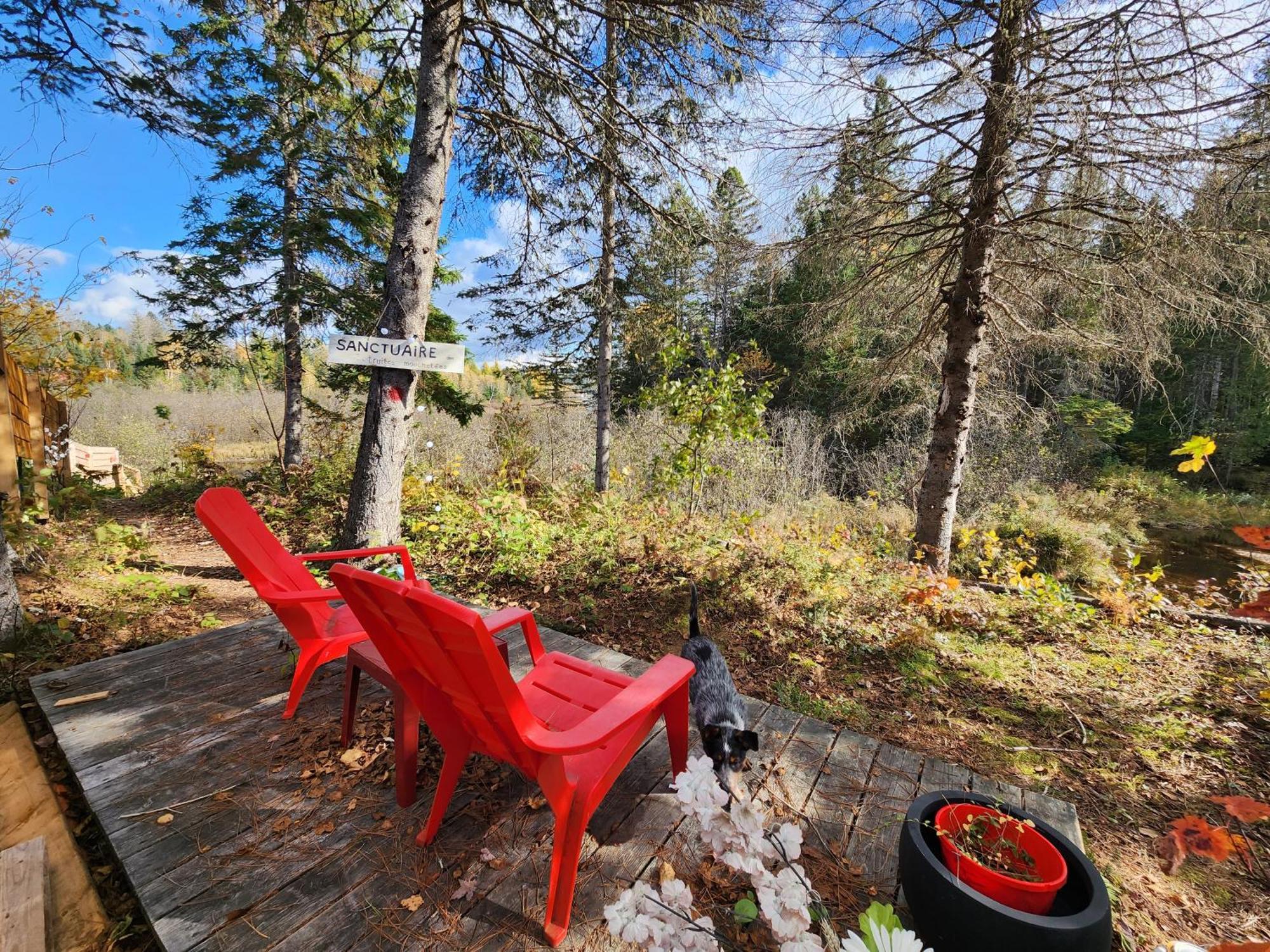Chalets Nabu La Sacacomie - Riviere - Billard Saint-Alexis-des-Monts Exterior photo